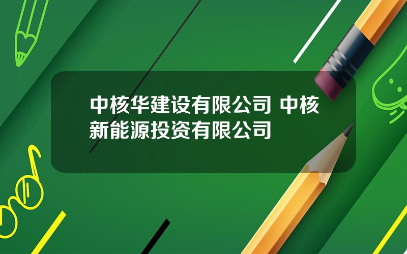 中核华建设有限公司 中核新能源投资有限公司